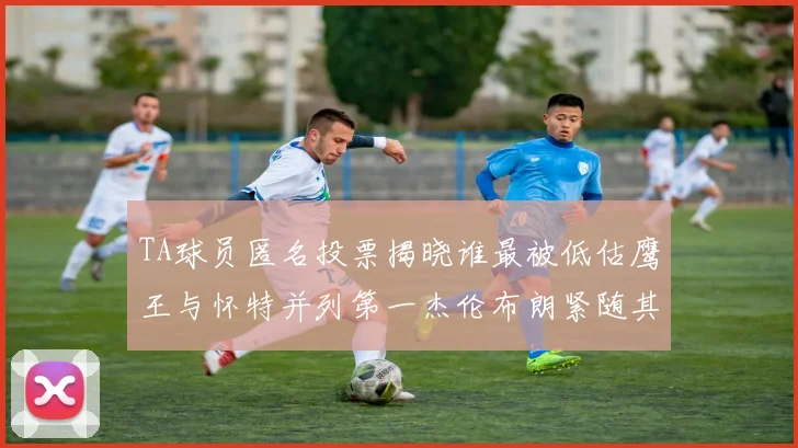 TA球员匿名投票揭晓谁最被低估鹰王与怀特并列第一杰伦布朗紧随其后